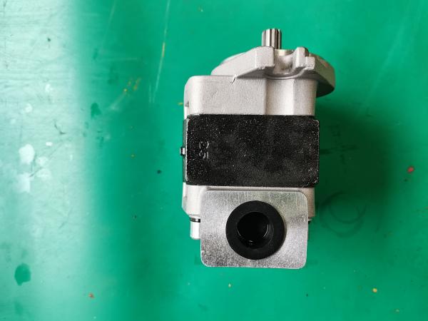 Bomba de engrenagem Siver do ferro SGP1-F23-ALΦ9R e cor preta