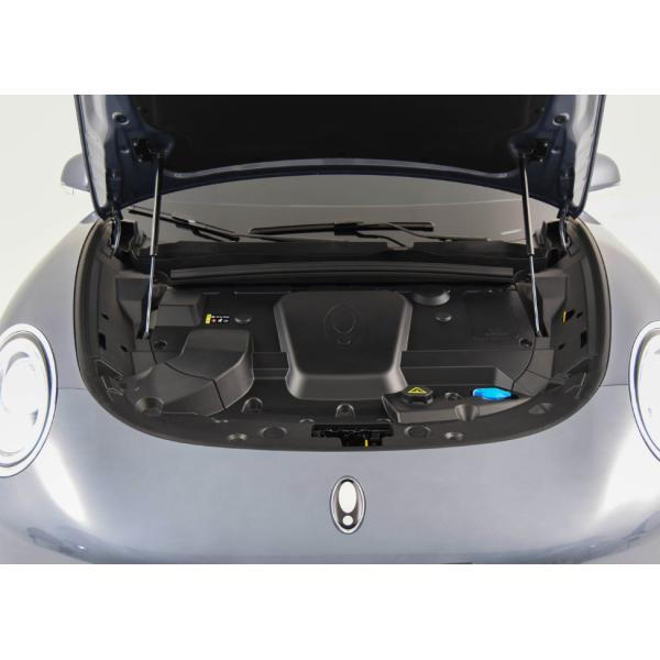 Седан высокой эффективности четырехколесного привода ORA Lightningmao 2022 600km электрический