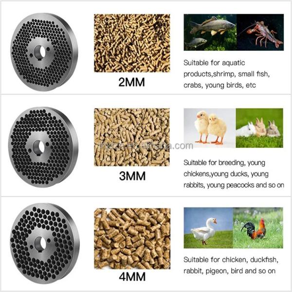 Rabbit Chicken Pig Fish Feed Pellet Machine Poultry Machine Animal Food Pellet Feed Machine Poultry Making