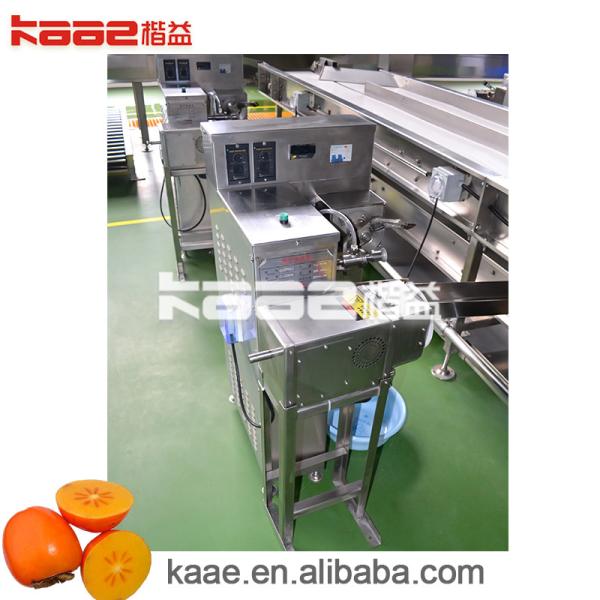Persimmon Peeling Machine Is Used For Removing The Peel Of Persimmon,Processing Persimmon Diameter Is 60mm-90mm