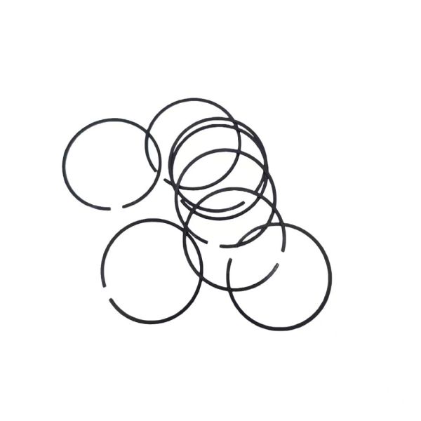 New Piston Ring Set 476ZQC-1004202 76.5mm Diameter for BYD Song PLUS SUV Engine Replacement Auto Parts