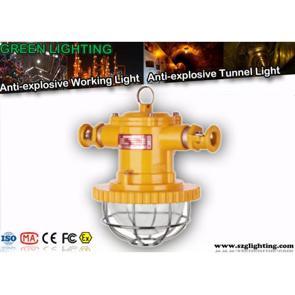 IP67 привело тоннель освещая взрывозащищенное снабжение жилищем алюминия заливки