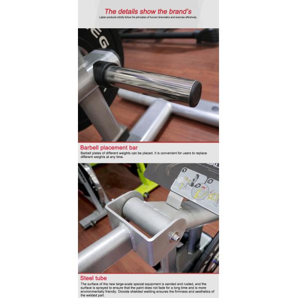 Customized Commercial Grade Gym Equipment Plate Loaded Calf Raise Machines