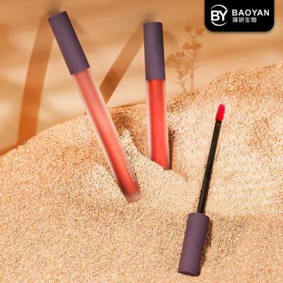 Cosmétique mat professionnel de maquillage de visage, lustre imperméable de lèvre de long usage