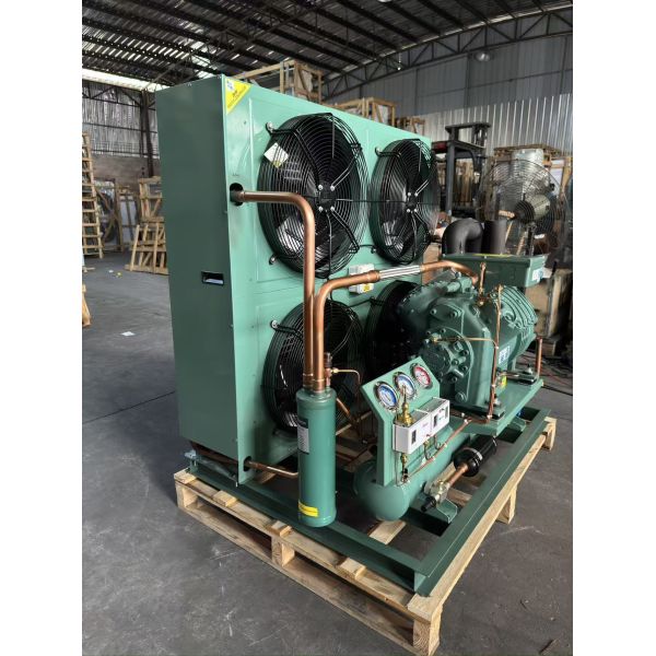 Customized Freezer Room Refrigeration Unit 20HP Semi-Hermetic Air Cooled Motor Low Temperature Condensing Unit Cold Storage