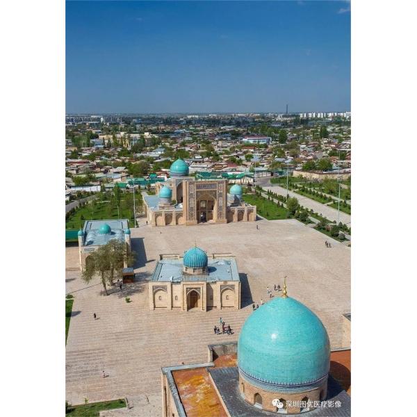 Электрический ветеринарный видео гастроскоп Колоноскоп Гибкая медицинская камера эндоскопа