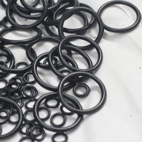 AS568 PG Standard Size FFKM O Ring Rubber Polysilicon Cleaning Equipment Customizable