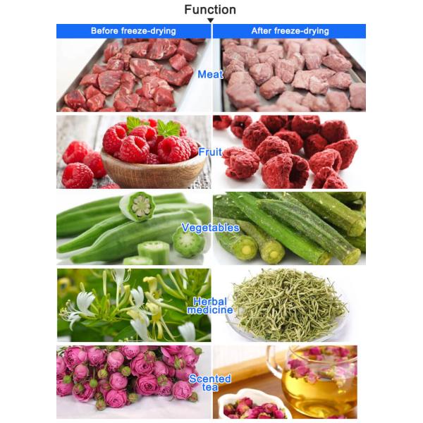 TOPTION Домашние морозильные сушилки 220В Морозильная сушилка для пищи