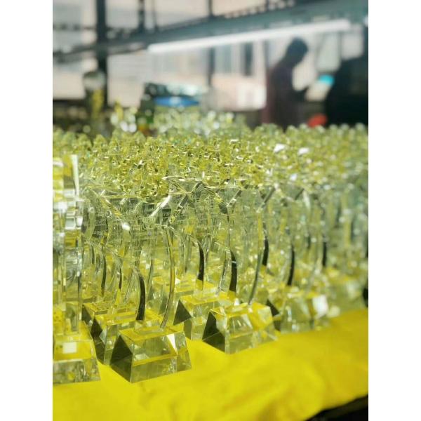 K9 Crystal Glass Awards For Student School Activities / Sports Competition Winners