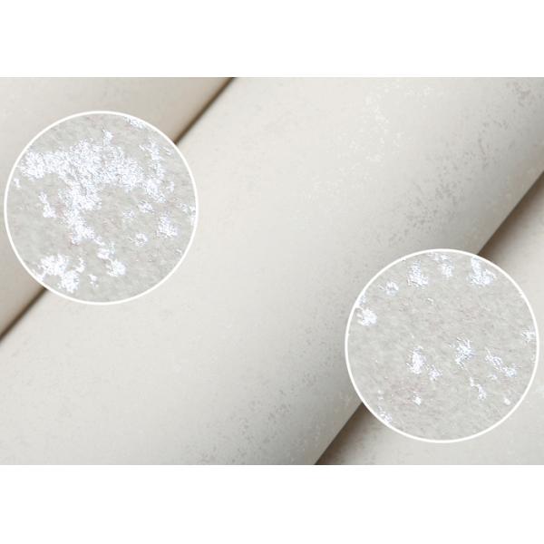 Contemporary Silver Asian Inspired Wallpaper for Study Room Can Be Removable