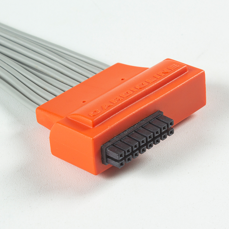 Compatible Cardioline TouchECG HD+ 10 Lead Holter ECG Cable with TPU Material and IEC Color Coding