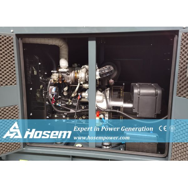 Leroy Somer Alternator 33kVA 60Hz Perkins Generator Set | Hosem Power