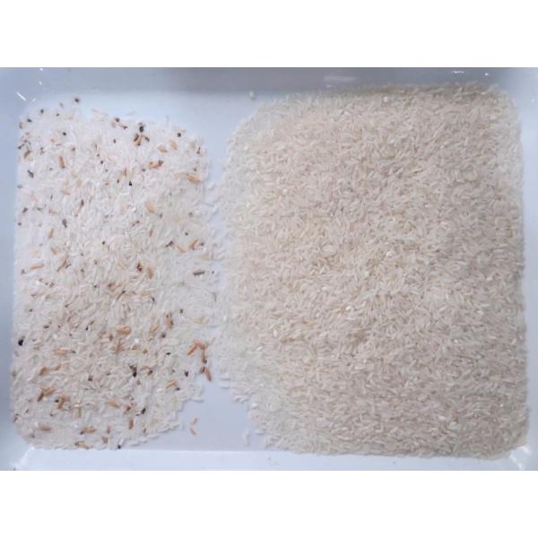 High Reliability Colour Sorting Machine 2 Channel For Grain Cereal Wheat