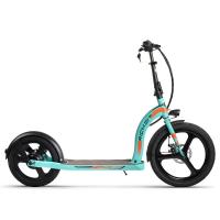 Avant adulte de vélo de cycle électrique de scooter de 16 pouces pneu arrière 36v 10Ah de 20 pouces grand