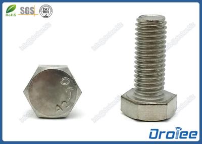 18-8 / 304 / 316 Stainless Steel Hex Cap Bolts