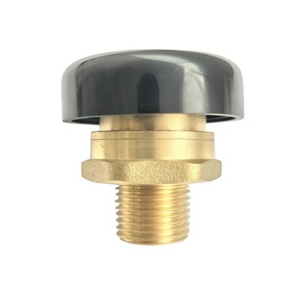 1/2'' Brass Vacuum Break Valve Male Thread Anti-Vacuum Negative Pressure Of Pipeline,Tank