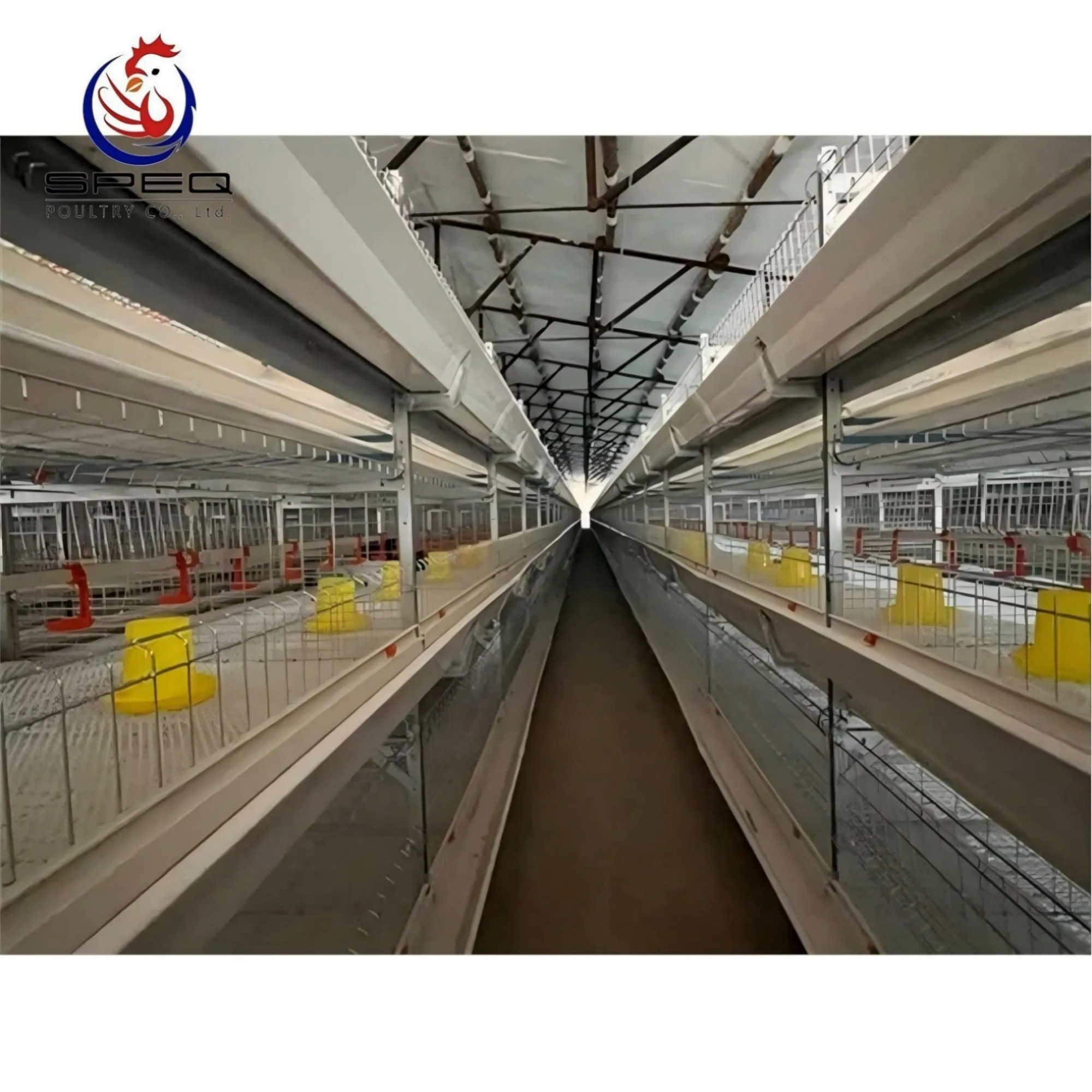 Hot Dip Galvanized Layer Cage 3-8 Tiers H Type With Auto Feeding System For Poultry Farms