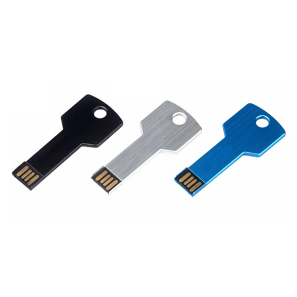 Cheap Key Shape Metal Pen Drive 2Gb USB flash drive for Corporate Promotional gifts