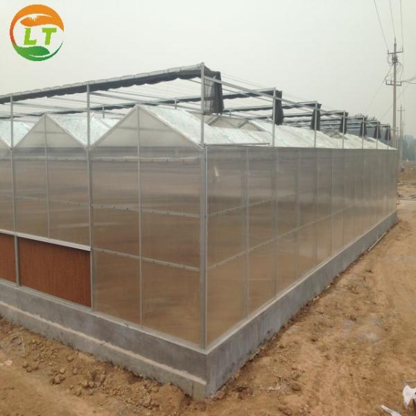 Ventilation Vents for 150/200micro PE Film Covered Greenhouse on Poultry Farm