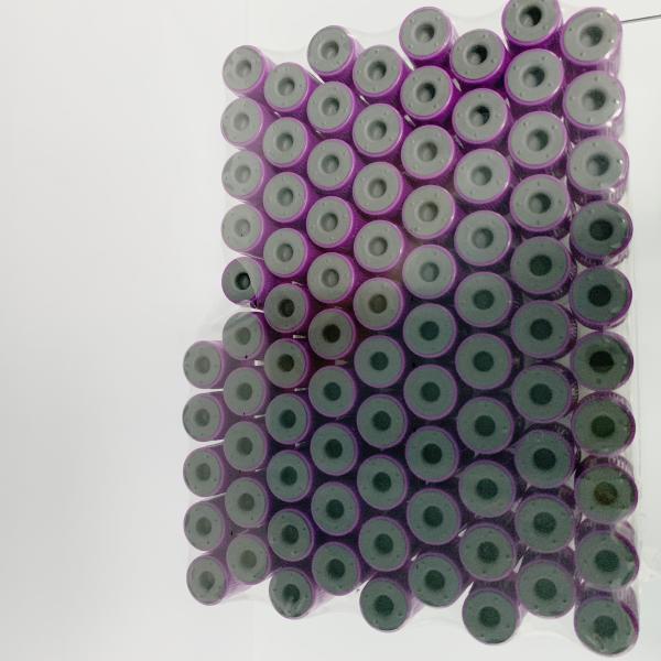 Стерильная трубка ЭТИЛЕНДИАМИНТЕТРАЦЕТАТА вакуума с доказательством утечки Вакутайнер затвора пурпурным верхним