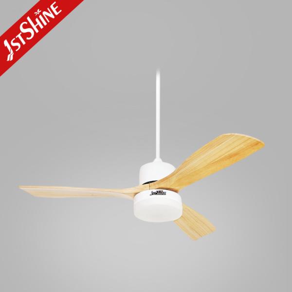 Modern Room Decoration 110v 220v DC Ceiling Fan with Lights and Remote Made of Metal