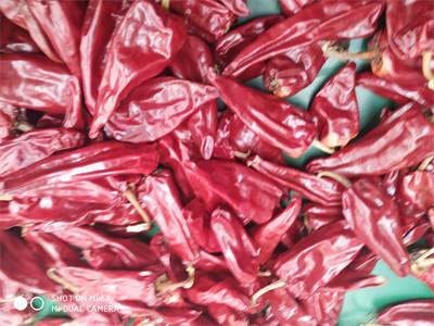 12CM Dry Red Chilli Whole Xinglong 10KG Dried Asian Chili Peppers