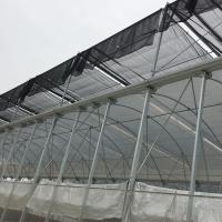 Controle de temperatura alto da hidroponia da estufa do túnel do multi arco para cultivar