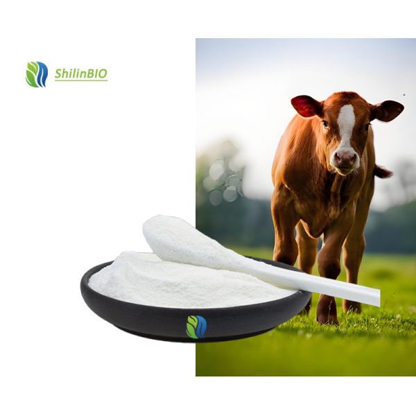 Food Grade Natural Bovine Bone Marrow Peptide / Yak Bone Collagen Peptide 99% Powder