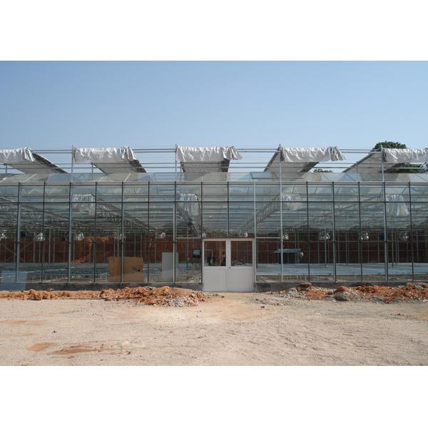 Sturdy Structure, Adjustable Climate VENLO Glass Greenhouses For Strawberry & Flower Cultivation
