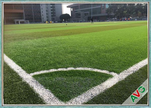 Stem 2D Shape More Durable Soccer Field Artificial Grass Carpet Lake High School