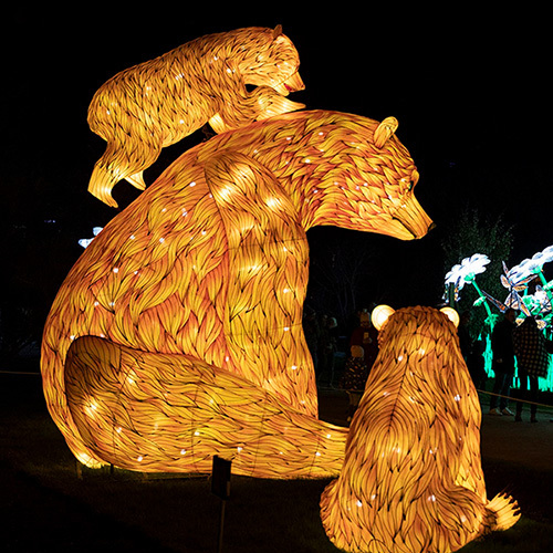 Silk LED Park Chinese Illumination Festival Lantern Christmas Decoration