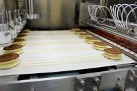 PD800 chaîne de production de crêpes de sandwich chaîne de traitement de crêpes de sandwich