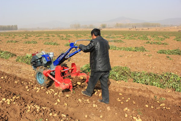 Small Agricultural Machinery-Hand-Held Potato and Sweet Potato Harvester Metal Casting Product Category