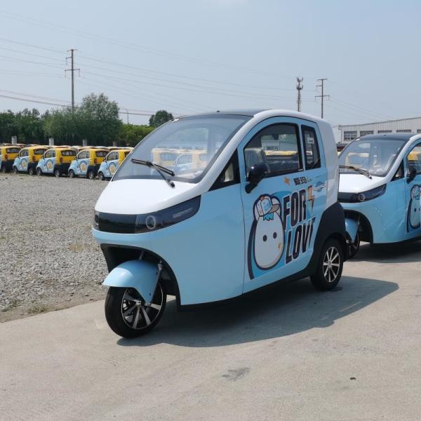 Raysince latest model enclosed electric tricycle China top sales 3 wheel electric car for adults