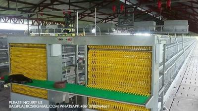 Layer Cages 3 Rows 3 Tiers 4 Tiers A Type Layer Cage Automatic Layer Cage Egg Collection