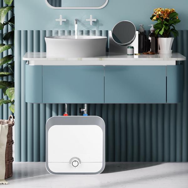 8L Electric Storage Water Heater 1500W 220v Kitchen Mini Geyser