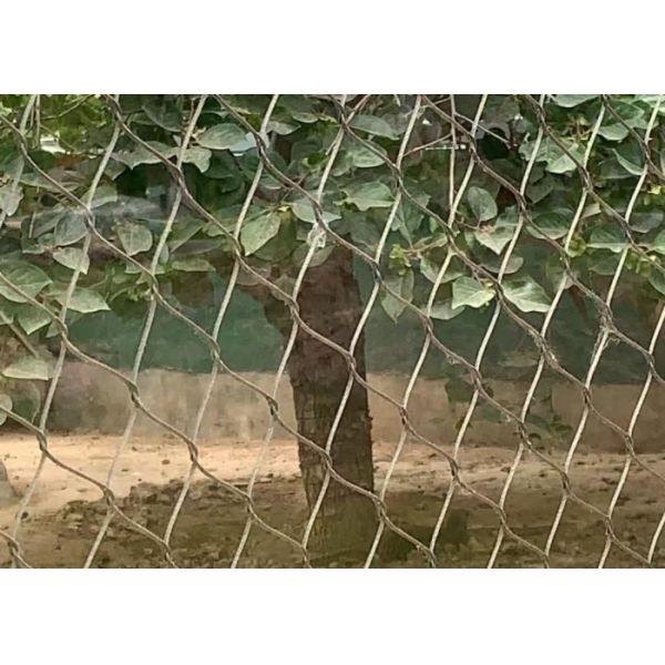Stainless Steel Ferrule Wire Rope Mesh For Zoo Bird Parrot Aviary Safety Fencing