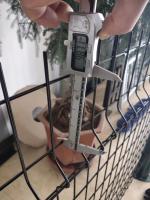 El jardín 4m m de la granja del metal curvó el espacio soldado con autógena de For Municipal Green de la cerca de alambre