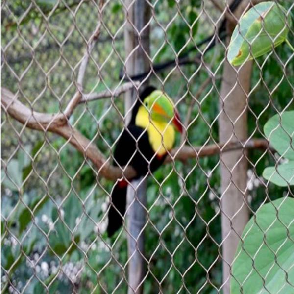 Landslide Protection Balustrade Stainless Steel Cable Zoo Animal Mesh Decorative Mesh