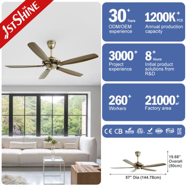 Ventilateur de plafond à moteur réversible DC de 57 pouces ABS avec économie d'énergie de classe A