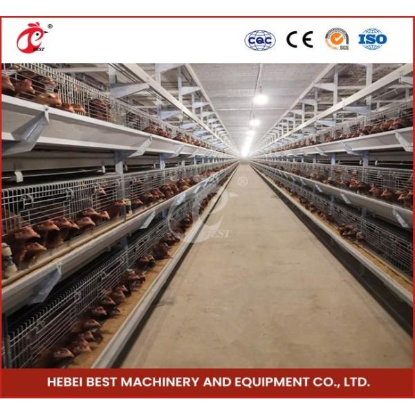 High Density Poultry Farming Broiler Chicken Cage 112 Birds For Day Old Farm House Ada