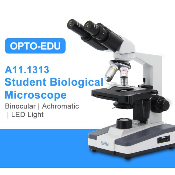 Halogen Light Student 1000x WF10X Biological Compound Microscope