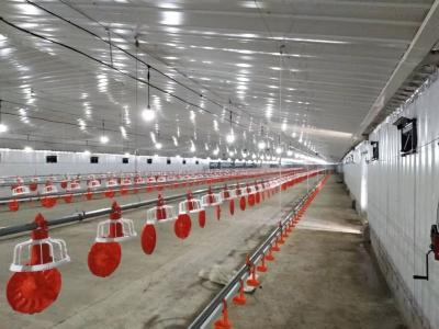Modern Steel Structure Poultry House Chicken Coop Prefab Farm Buildings Customized