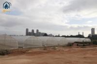 Agricultural Tunnel Greenhouse Single Span PE Film Greenhouse For Flowers Plant