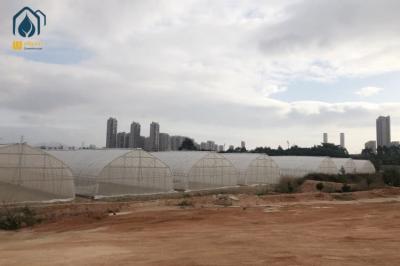 Agricultural Tunnel Greenhouse Single Span PE Film Greenhouse For Flowers Plant