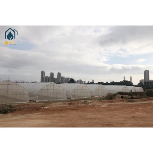 Customized Tunnel Greenhouse Transparent PO Film Greenhouse For Flowers Plant