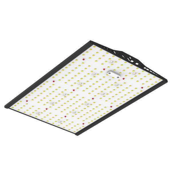 100W Full Spectrum LED Grow Light With Samsung / Osram LEDs For Optimal VEG / Flower Growth