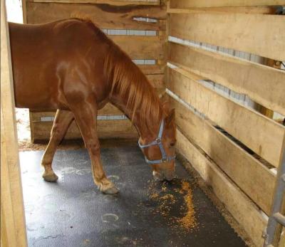 Traction Surface Horse Stable Mats Grooved Bottom Rubber Trailer Mats