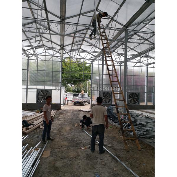IGreen Commercial Polycarbonate Greenhouse Greenhouse Polycarbonate Frame