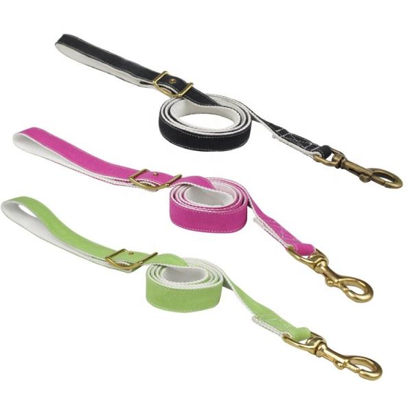 Durable Running Canvas Padded Pet Dog Leash , Colorful European Dog Leash